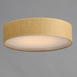 Prime 20" LED Flush Mount 120-277V