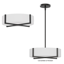 Dexter 15" LED Flush Mount/ Pendant Convertibie